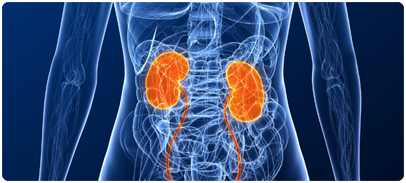 ไตวาย ตายไว ไตวาย ตายไว