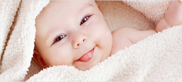 ไรฝุ่นเล็กๆก่อเหตุใหญ่ๆ ไรฝุ่นเล็กๆก่อเหตุใหญ่ๆ