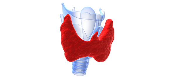 ไอโอดีนในอาหาร ไอโอดีนในอาหาร