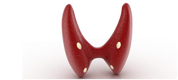 ไอโอดีน ไอโอดีน