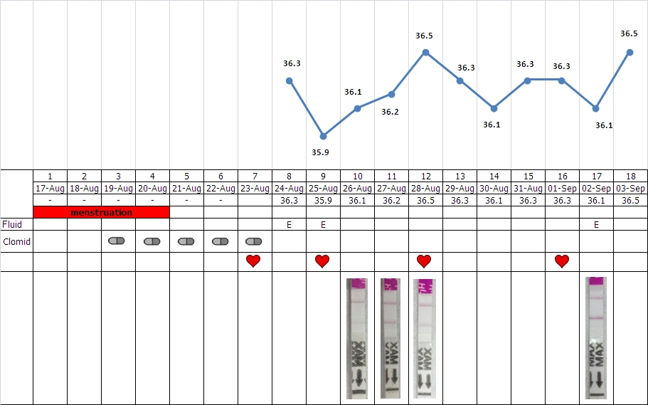 กราฟการตกไข่ กราฟการตกไข่