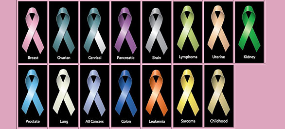 กระดูกแกร่งก็ไม่เว้นเป็นมะเร็ง-2 กระดูกแกร่งก็ไม่เว้นเป็นมะเร็ง-2